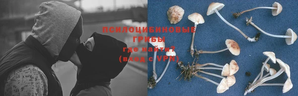 МДПВ Балахна